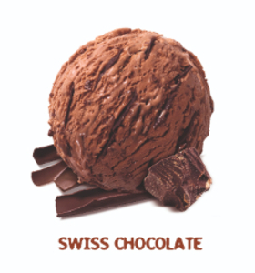 Swiss chocolate ice cream